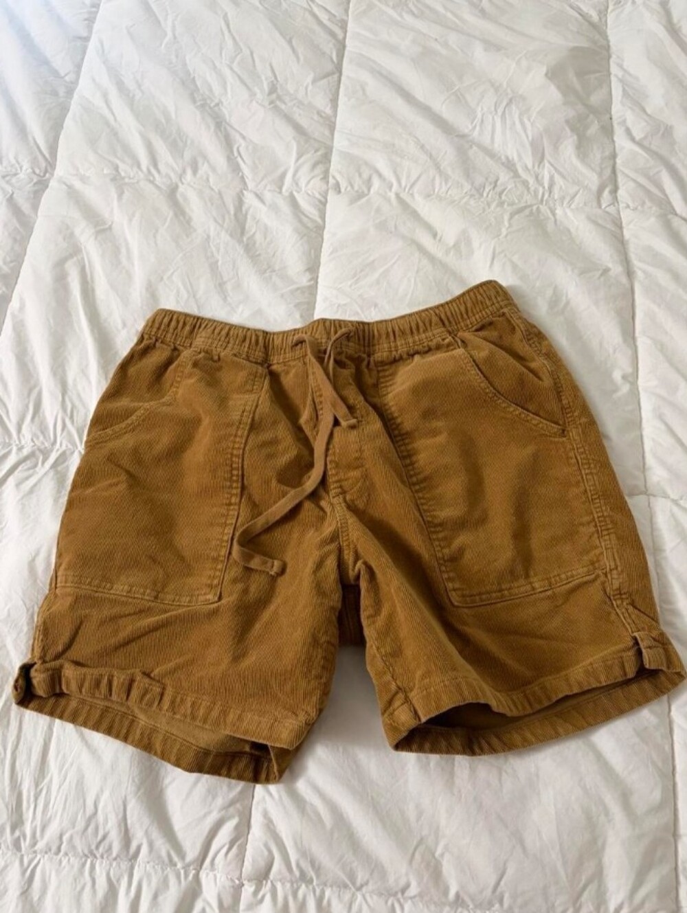 Katin Corduroy Shorts. L